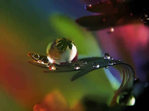 sparkling_rain_drops_on_leaf_colourful_background.jpg sparkling_rain_drops_on_leaf_colourful_background.jpg
